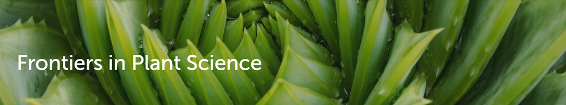 Frontiers in Plant Science logo