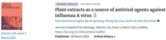 Potential natural antivirals against IAV