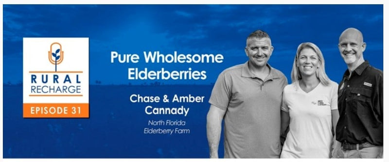 Pure Wholesome Elderberries