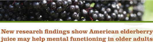 (Cognition) New research findings show American elderberry juice may help mental functioning in older adults