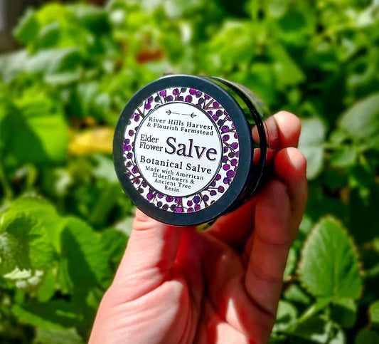 Hand holding a jar of Elder Flower Salve against a green leafy background